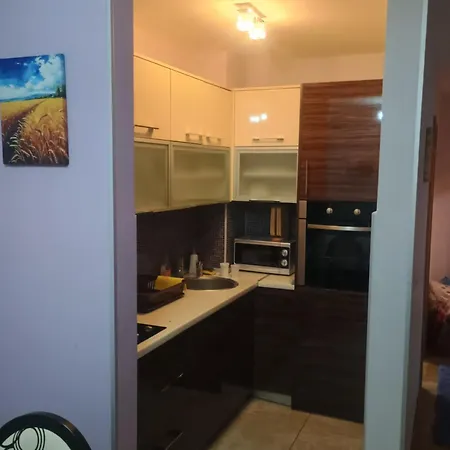 Zlatibor Dejan Konaci K15 Apartment 2 * Zlatibor