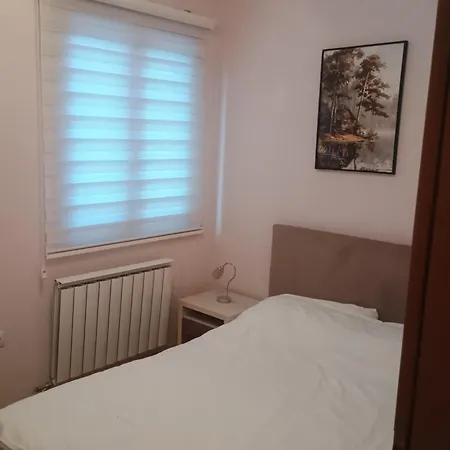 Zlatibor Dejan Konaci K15 Apartment 2 * Zlatibor