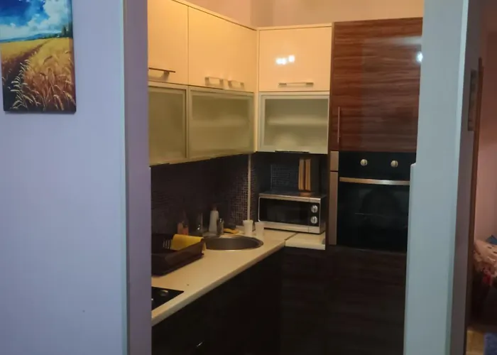 Zlatibor Dejan Konaci K15 Apartment 2 * Zlatibor