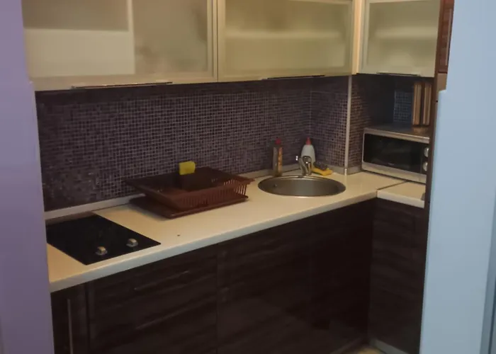 Apart Otel Zlatibor Dejan Konaci K15 Apartment 2 *