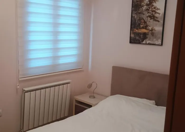 Zlatibor Dejan Konaci K15 Apartment 2 * Zlatibor